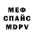 А ПВП крисы CK Miguel Puchades