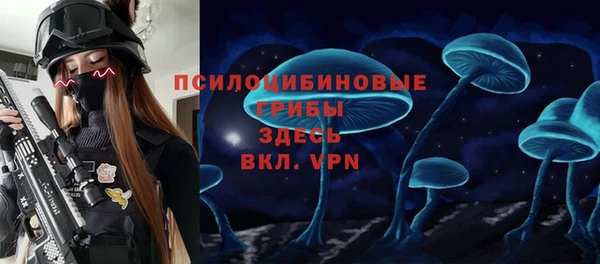 твердый Покачи