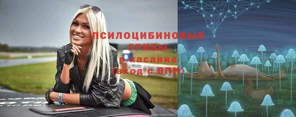 твердый Покачи