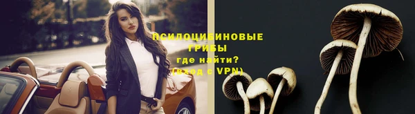 твердый Покачи