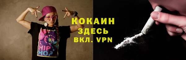 твердый Покачи