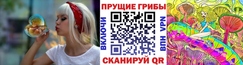мега зеркало  Губаха  Псилоцибиновые грибы MAGIC MUSHROOMS  купить закладку 