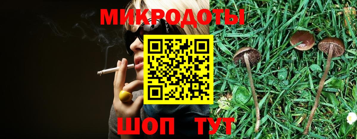 Галлюциногенные грибы Cubensis  Псилоцибиновые грибы ЛСД  Вход с VPN  Губаха 